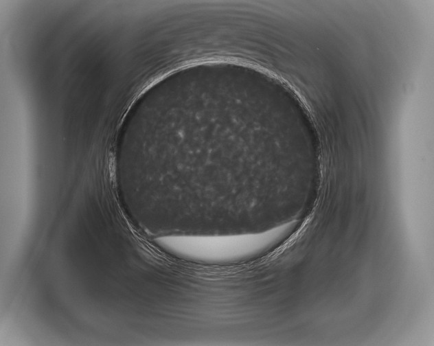X0000116851505200912291230