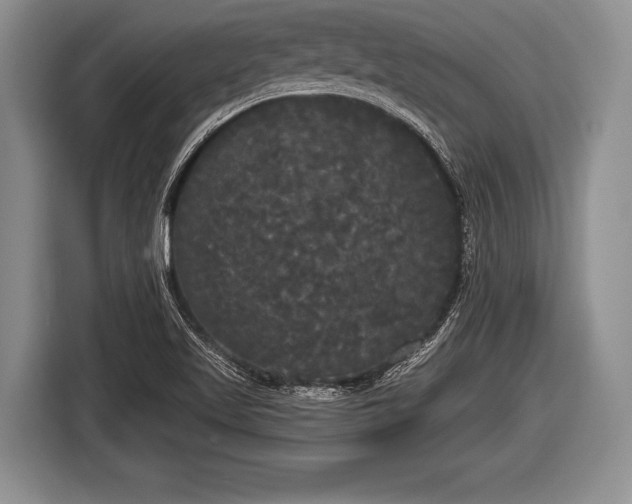 X0000116851509200912291230