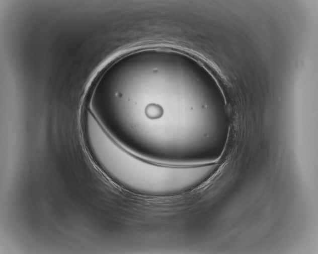 X0000116851510200912291230