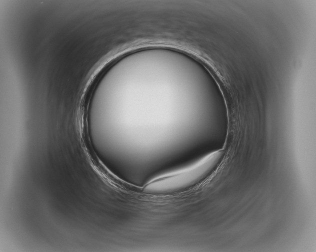 X0000116851511200912291230