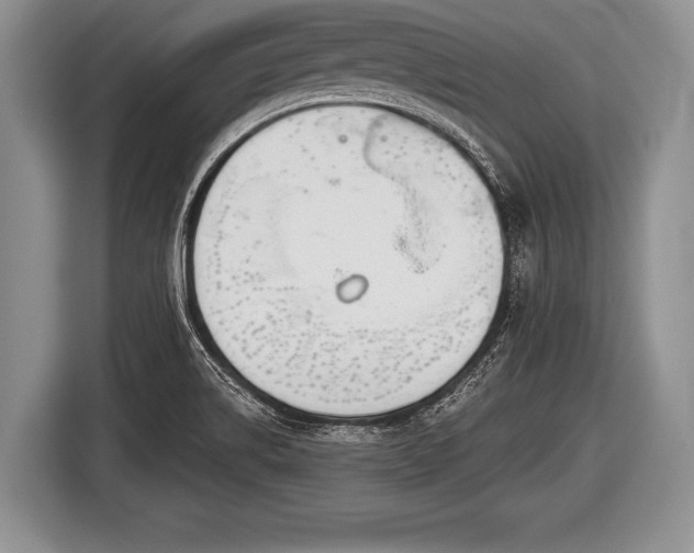X0000116851514200912291230