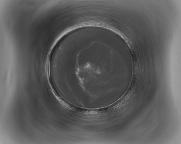 X0000116851515200912291230