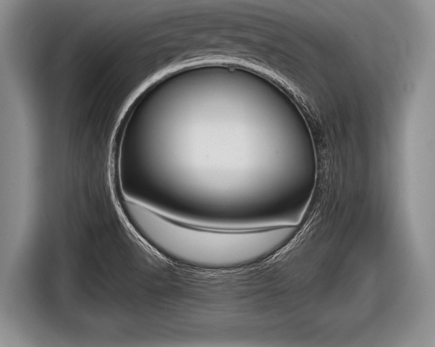 X0000116851518200912291230