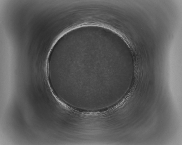 X0000116851519200912291230