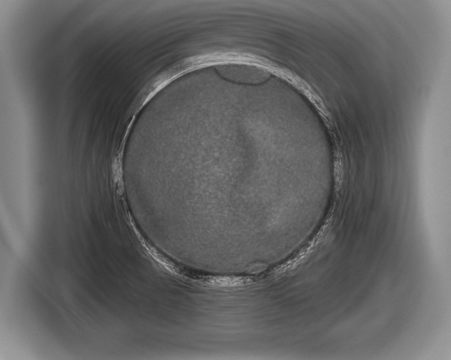 X0000116851521200912291230