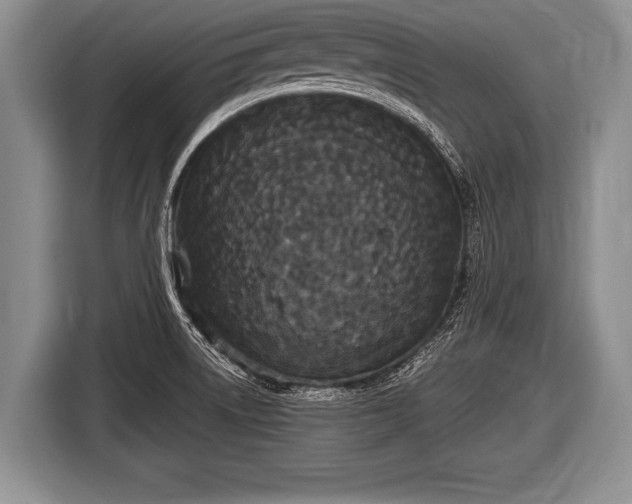 X0000116851522200912291230
