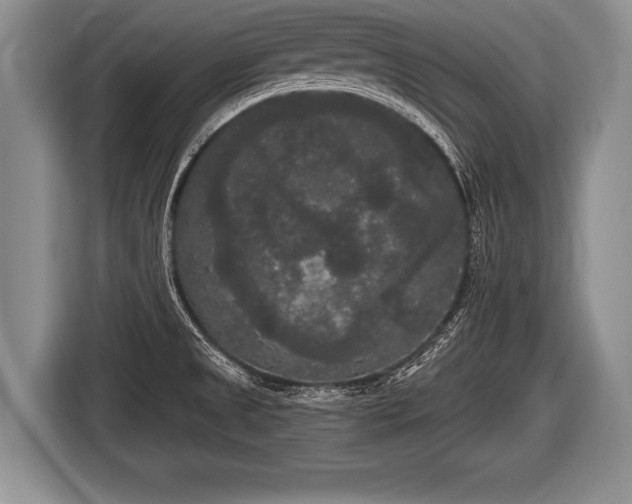 X0000116851525200912291230