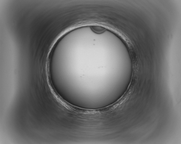 X0000116851526200912291230