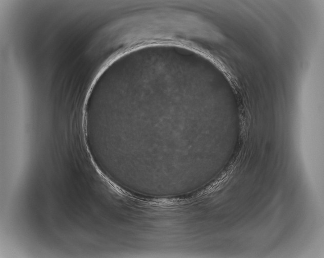 X0000116851527200912291230