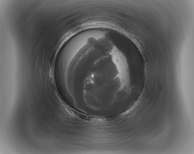 X0000116851529200912291230