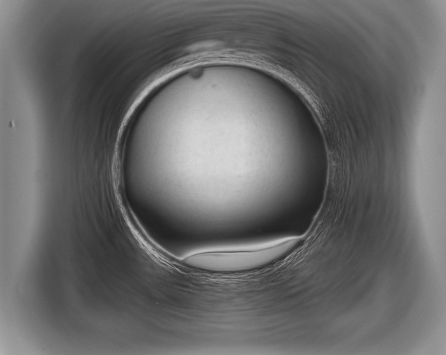 X0000116851531200912291230