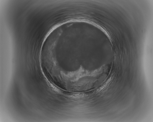 X0000116851533200912291230