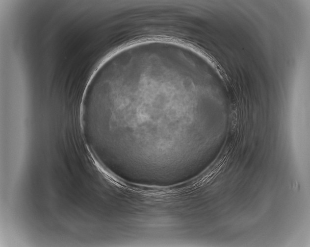 X0000116851535200912291230