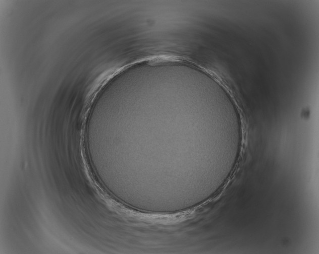 X0000116850001201001051516