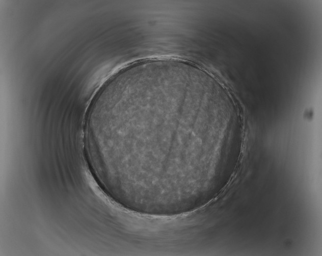 X0000116850002201001051516