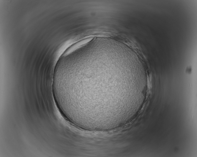 X0000116850003201001051516