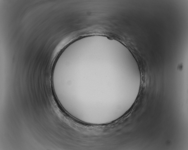 X0000116850004201001051516