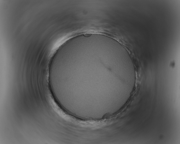 X0000116850005201001051516