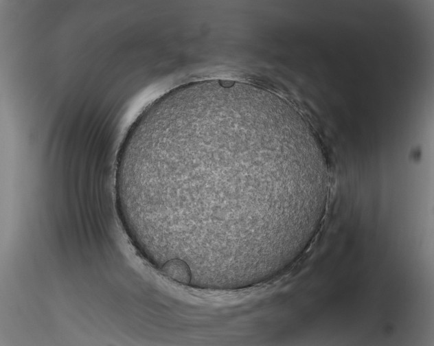 X0000116850006201001051516