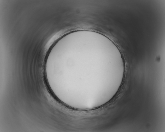 X0000116850007201001051516