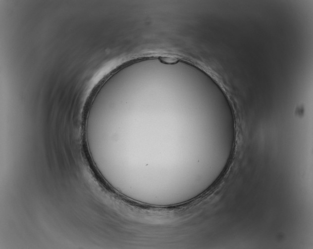 X0000116850008201001051516