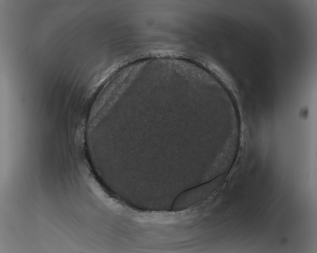 X0000116850009201001051516