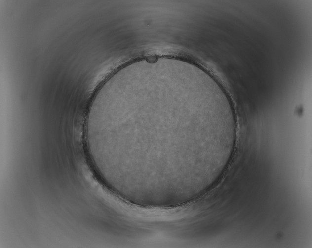 X0000116850010201001051516