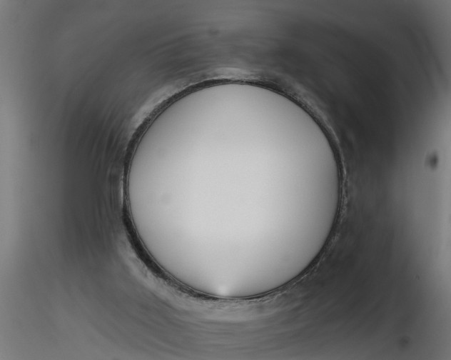 X0000116850011201001051516