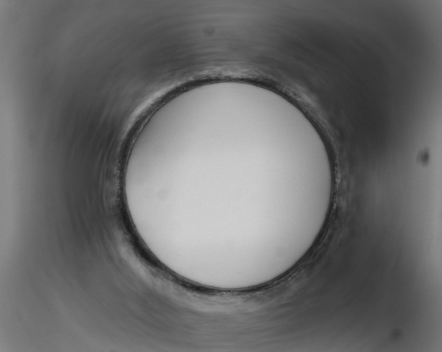 X0000116850012201001051516