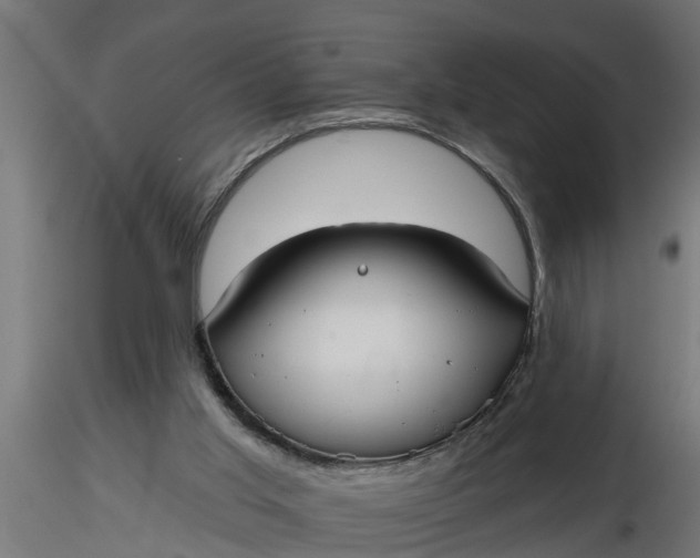 X0000116850013201001051516