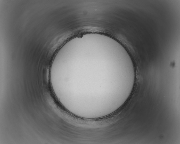 X0000116850014201001051516