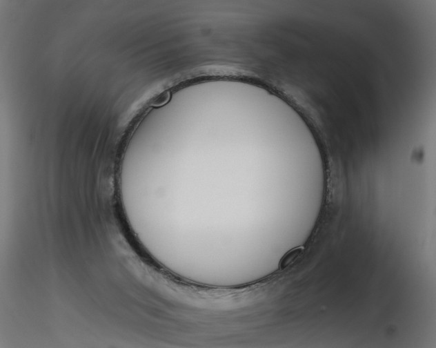 X0000116850015201001051516