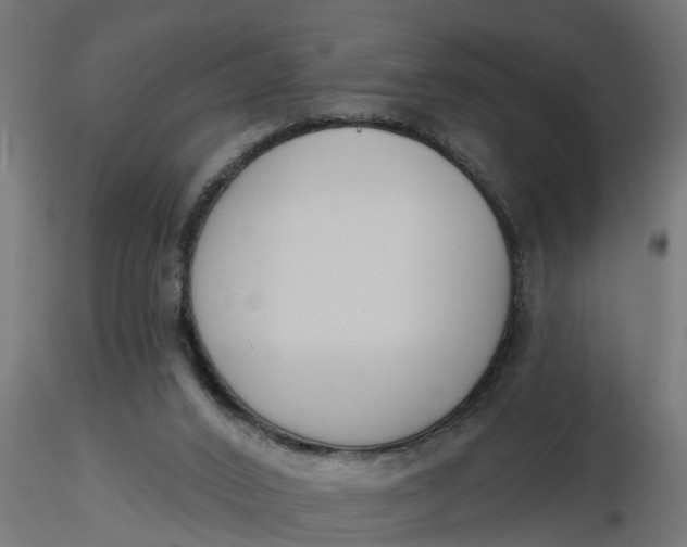 X0000116850016201001051516