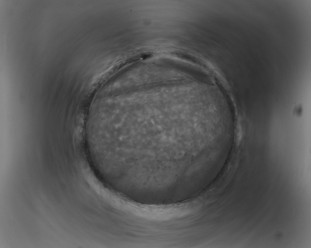 X0000116850018201001051515