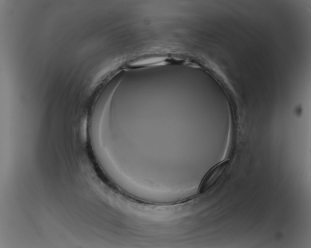 X0000116850019201001051515