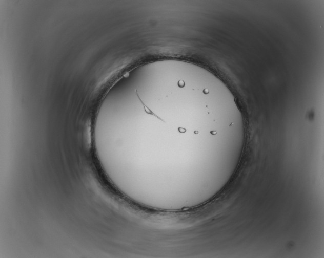 X0000116850020201001051515