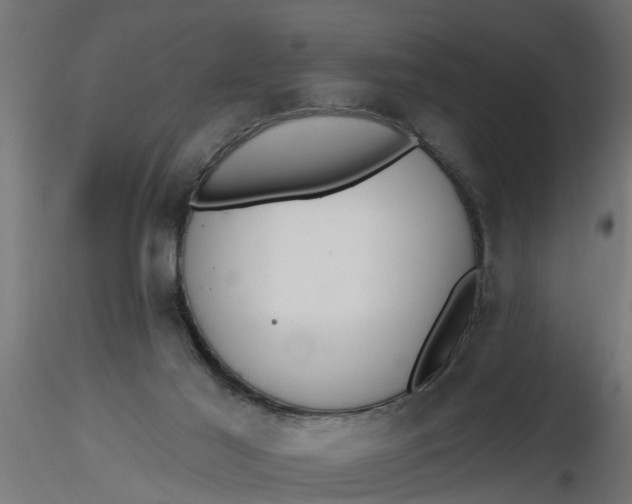 X0000116850021201001051515