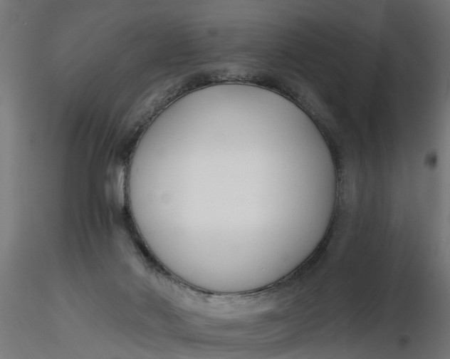 X0000116850022201001051515