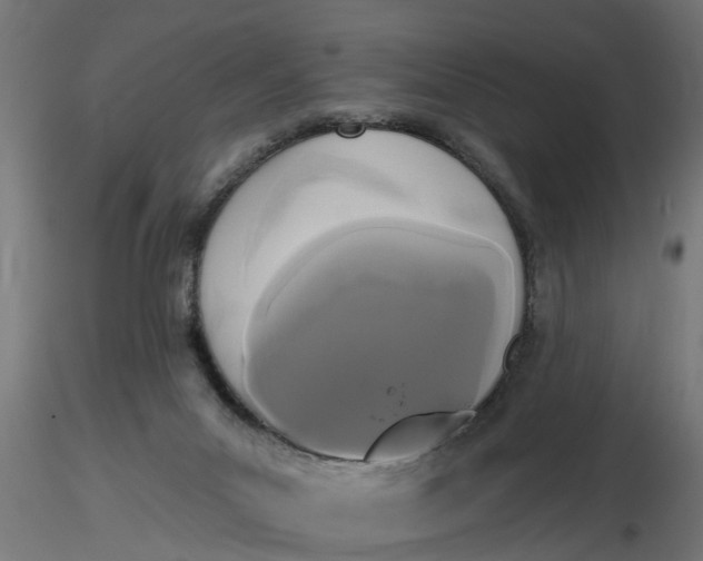 X0000116850023201001051515