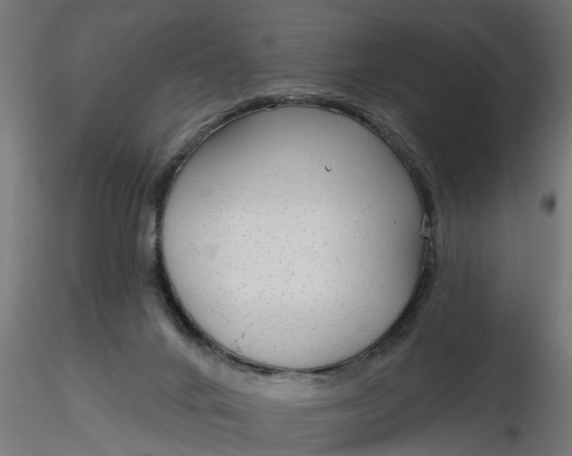 X0000116850024201001051515