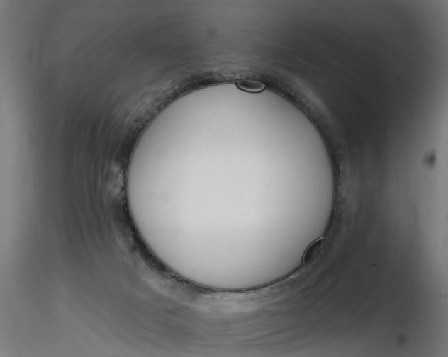 X0000116850025201001051515