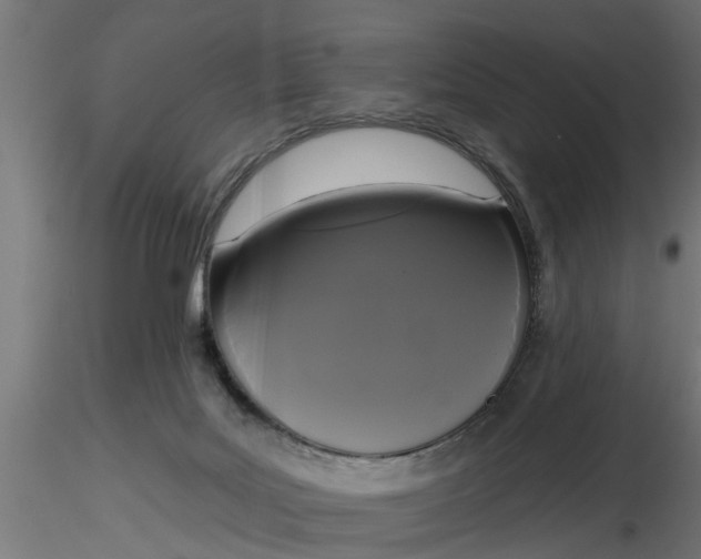 X0000116850027201001051515