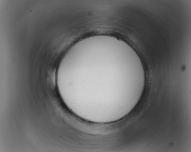 X0000116850028201001051515