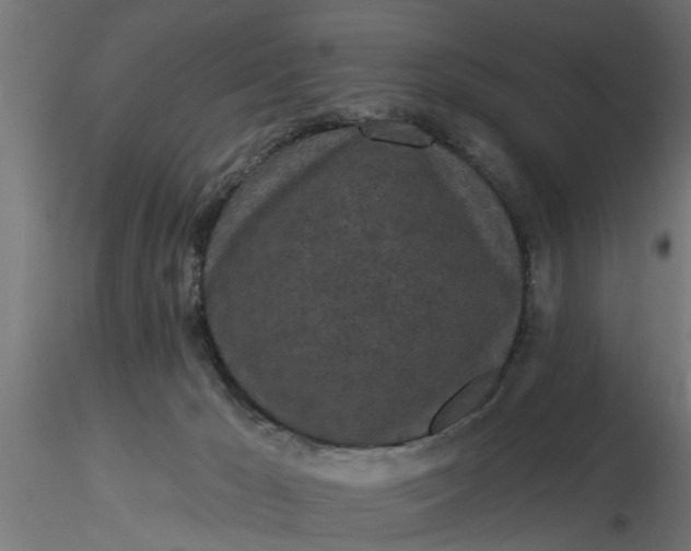 X0000116850029201001051515