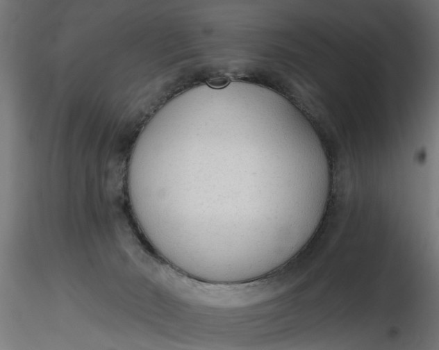 X0000116850030201001051515