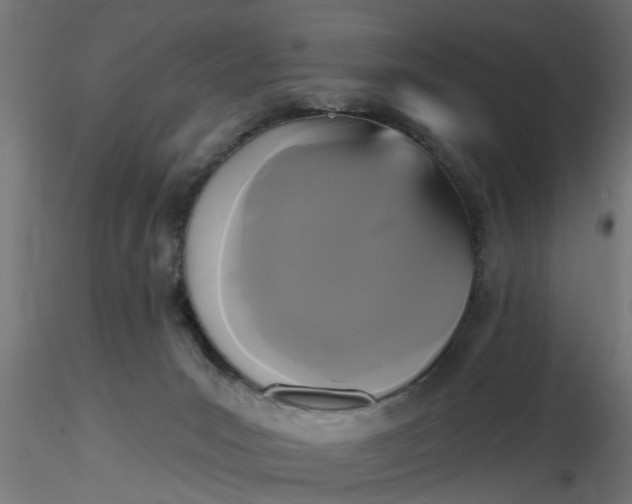 X0000116850031201001051515