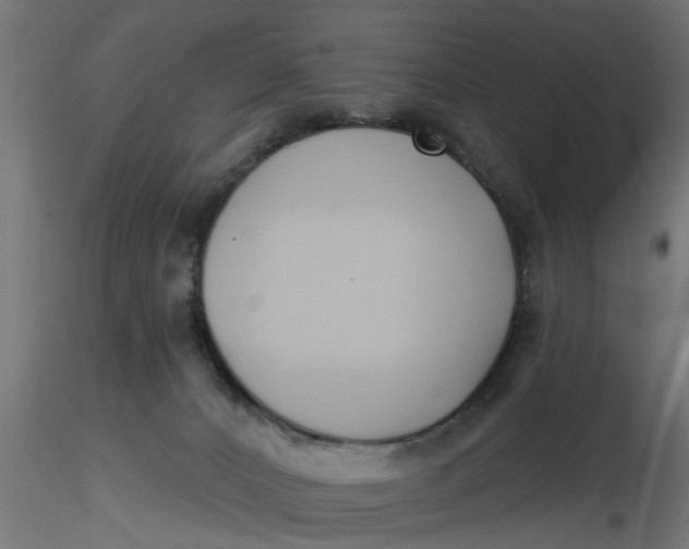 X0000116850032201001051515