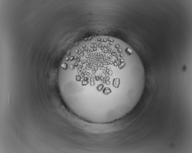 X0000116850034201001051515