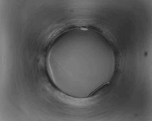 X0000116850035201001051515