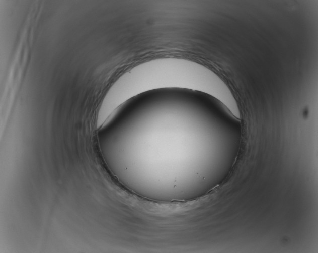 X0000116850037201001051515